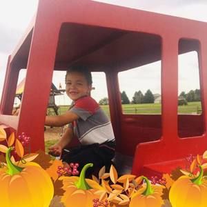 Meet your Posher, Paulette